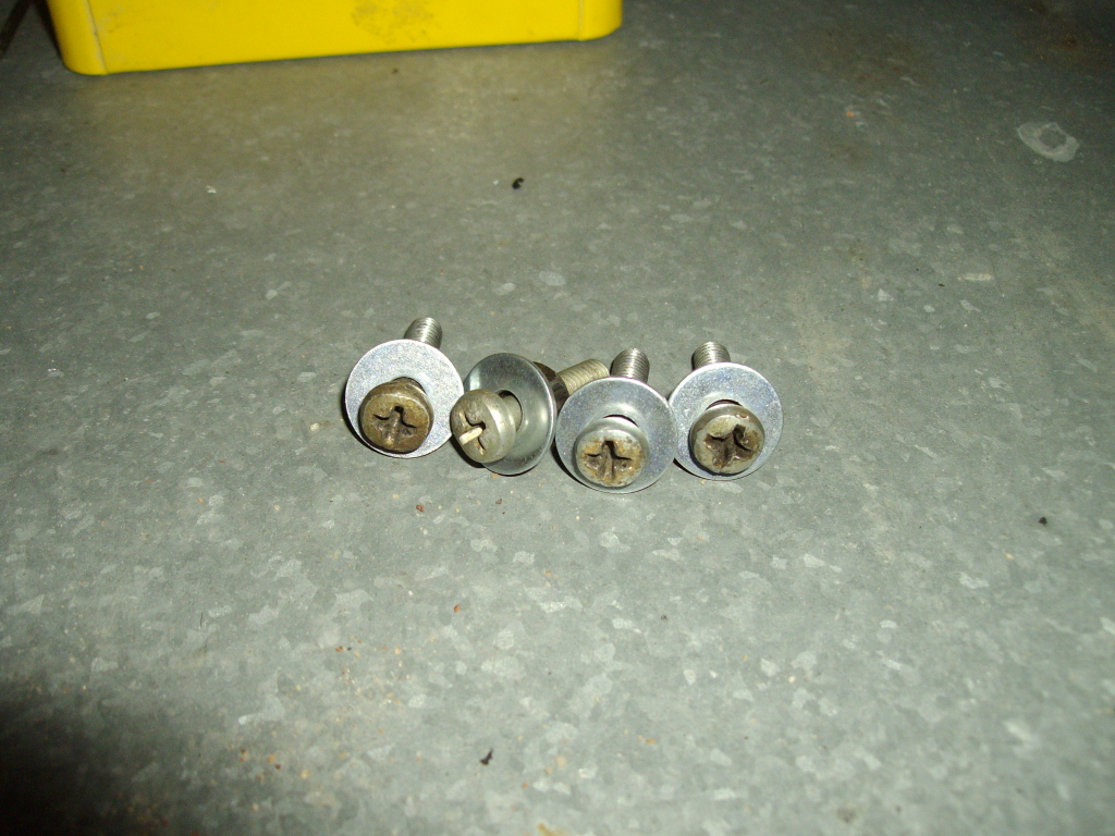 IMGP0014.JPG