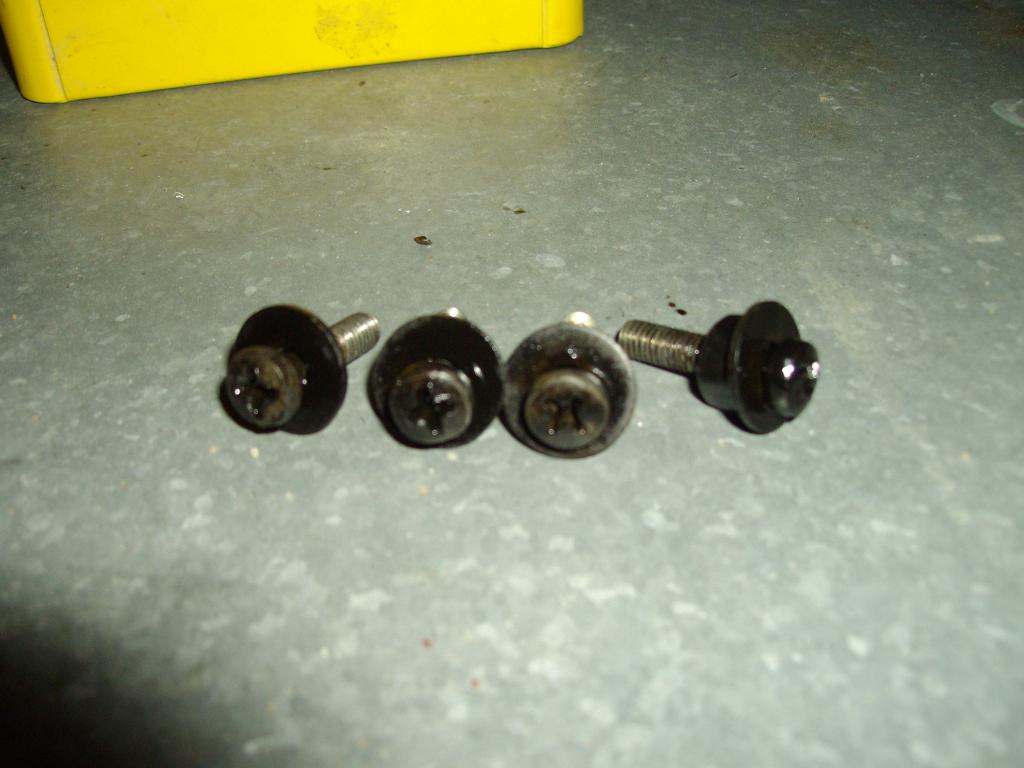 IMGP0015.JPG
