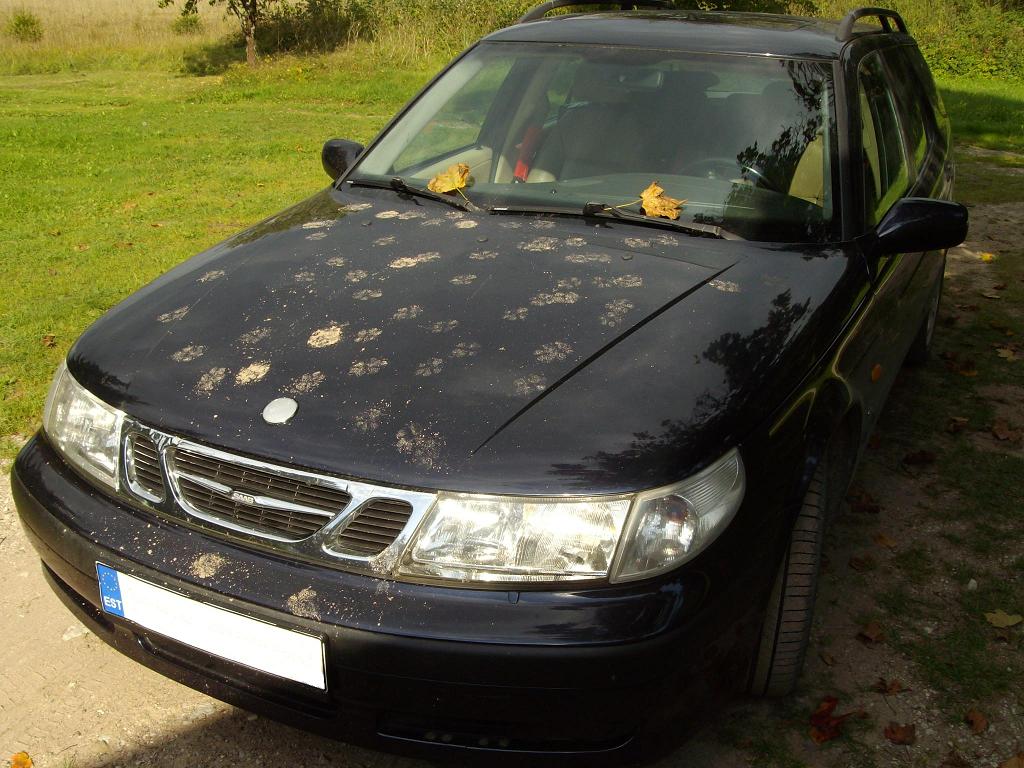 saab-jaljed.jpg