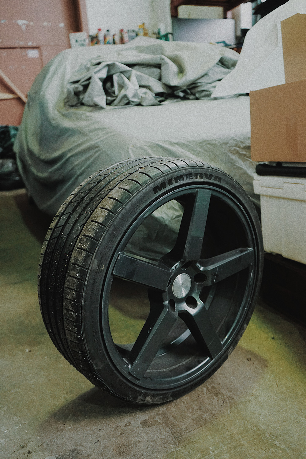 2018-10-28 03.12.41 1-2.jpg