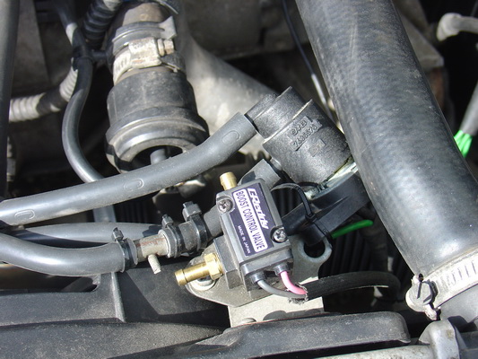 DSC01090_resize.JPG