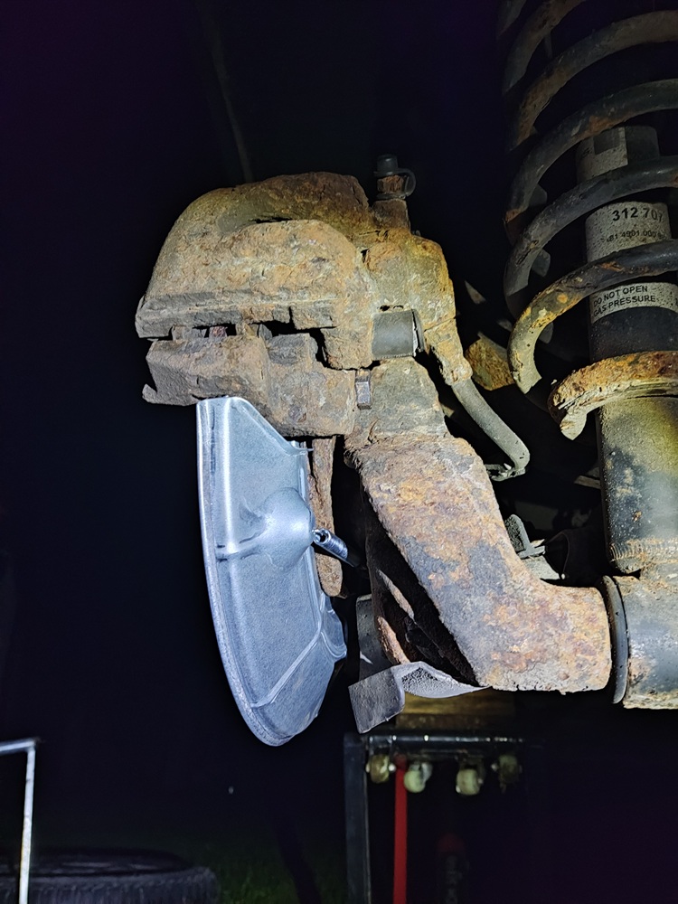 pidurikatted 019.jpg