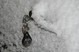 Filename=Kas_avaneb.jpg
Filesize=3580KiB
Dimensions=3207x2119
Date added=Feb 25, 2009 Kas_avaneb.jpg