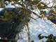 Filename=Kevadootus.jpg
Filesize=1329KiB
Dimensions=2592x1944
Date added=Mar 16, 2009 Kevadootus.jpg