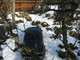Filename=Leia_pildilt_koerad.jpg
Filesize=1357KiB
Dimensions=2592x1944
Date added=Mar 16, 2009 Leia_pildilt_koerad.jpg