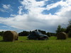 Filename=IMG_6690.JPG
Filesize=1121KiB
Dimensions=2592x1944
Date added=Jul 26, 2012 IMG_6690.JPG