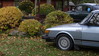 Filename=DSC04425.JPG
Filesize=6865KiB
Dimensions=5184x2920
Date added=Oct 25, 2016 DSC04425.JPG