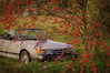 Filename=_IMG4066-001.JPG
Filesize=7613KiB
Dimensions=3800x2527
Date added=Oct 22, 2016 _IMG4066-001.JPG