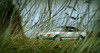 Filename=roheline.jpg
Filesize=671KiB
Dimensions=1600x850
Date added=May 13, 2014 roheline.jpg