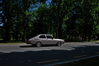 Filename=DSC_0847.JPG
Filesize=4414KiB
Dimensions=3711x2484
Date added=Sep 26, 2019 DSC_0847.JPG